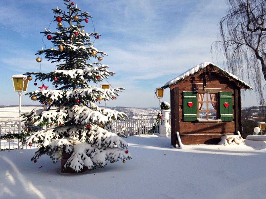 Hotel Wittelsbacher Hoeh Wurzburg Ngoại thất bức ảnh